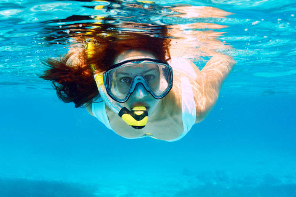 Learn how to dive or snorkel