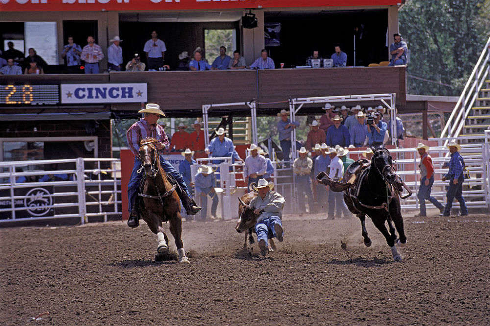 Attend the rodeo