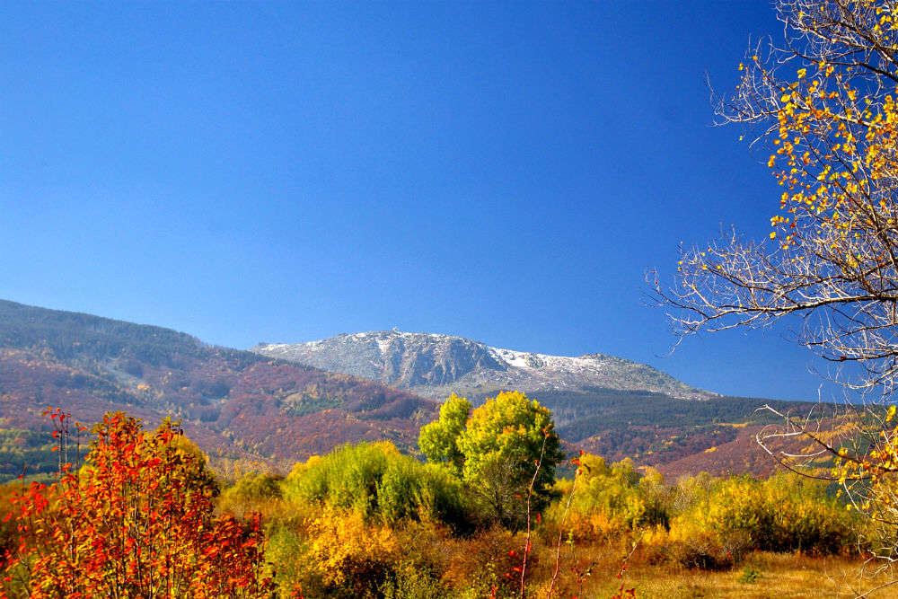Mt. Vitosha