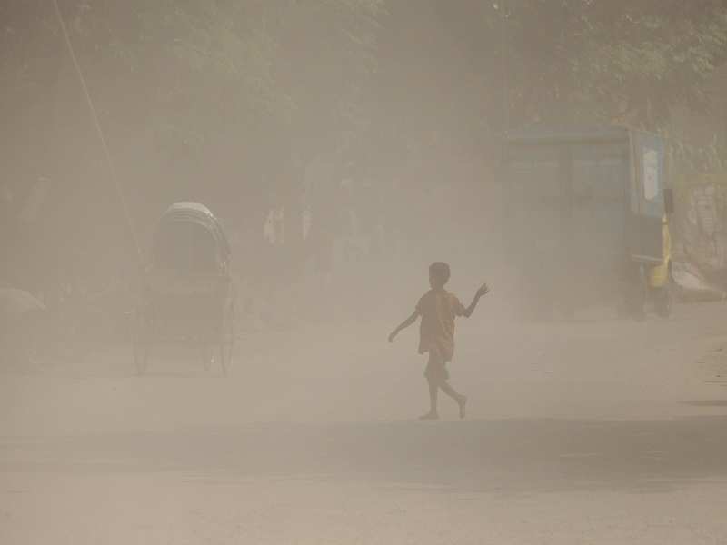 Air in rural areas is worse than many think, WHO experts said. (AFP image)