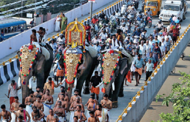 Caparisoned elephants being taken out through a bridge for a temple festival in Kochi.