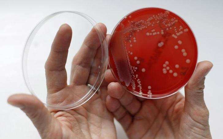 Representative image of a superbug. (Reuters Photo)