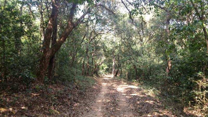 IN NATURE’S LAP:  The forest department started a nature camp at Hemmadaga, near the entrance to the sanctuary, in 2014. Many would avoid visiting this place as permission is required from the district forest officer