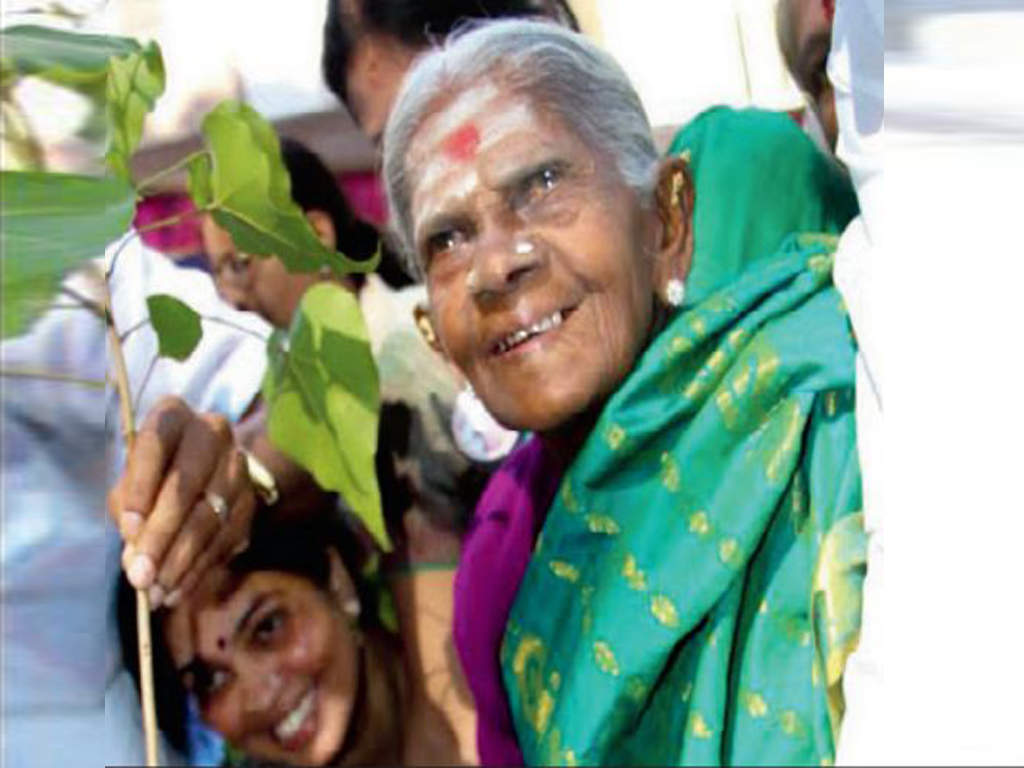  Environmentalist Saalumarada Thimmakka planted the first sapling during Sunday’s drive in Vijayanagar