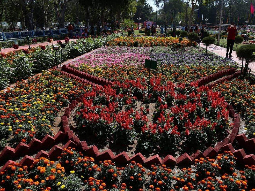 Gujarat Refinery Spring blooms at Gujarat Refinery’s flower show