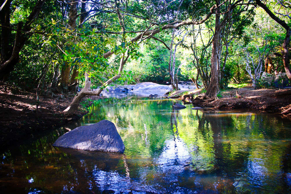 Explore the Kuruva Islands on bamboo rafts