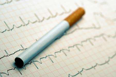 Cigarette filters have pig's blood? - Times of India