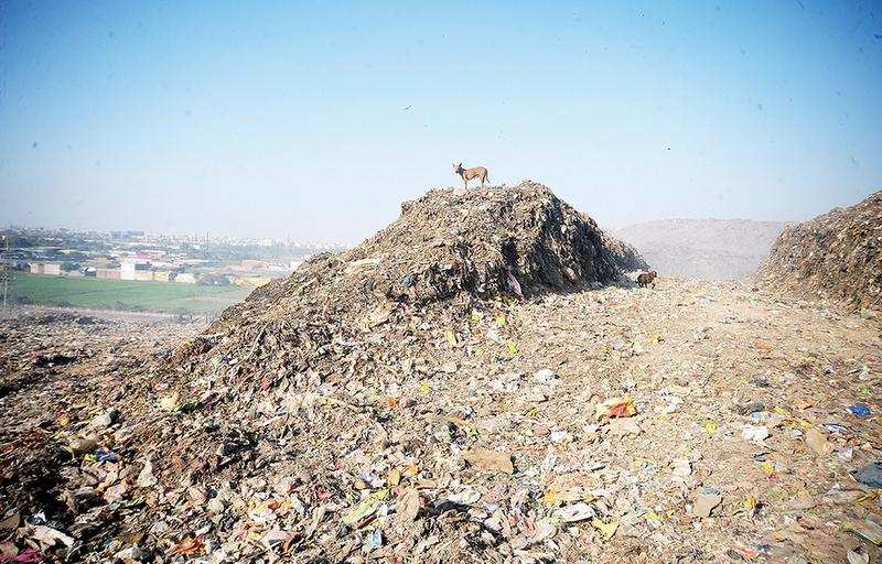 Pirana has now turned into a mountain and has garbage many times more than its capacity