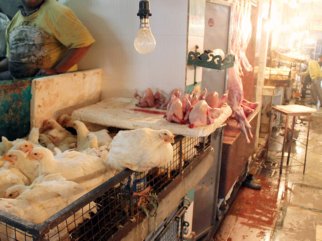 meat shops start getting licences in ghaziabad | ghaziabad news - times of india