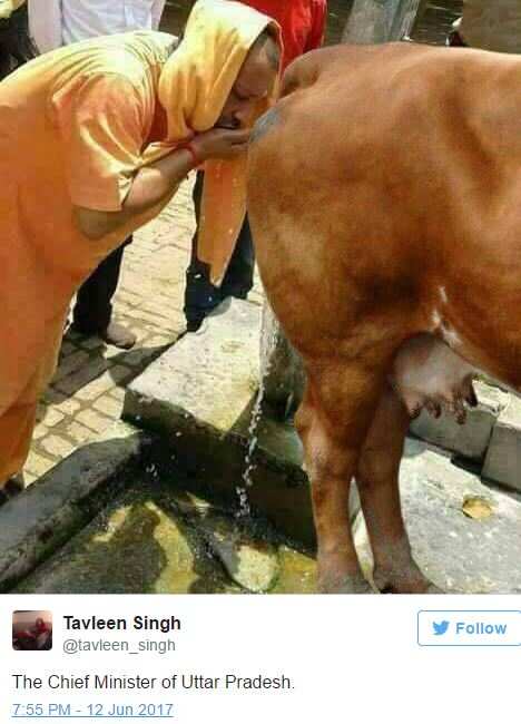 This fake photo of Yogi Adityanath drinking cow urine is evoking strong  reactions on Twitter - Times of India