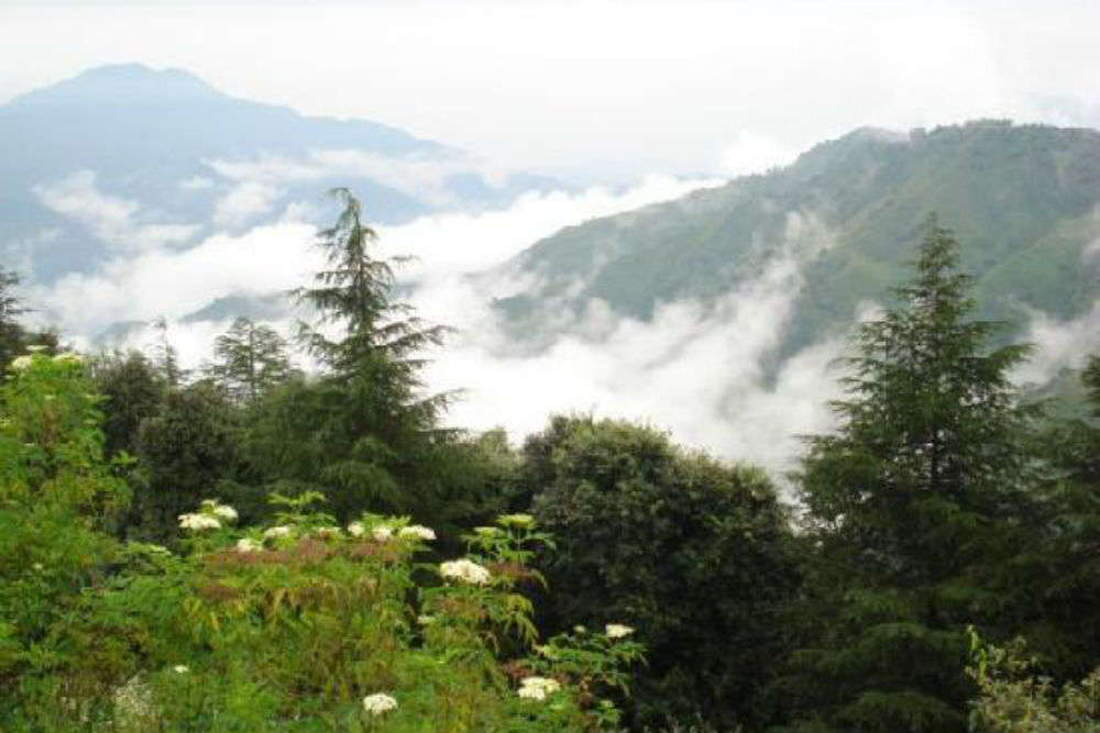 Places to visit in Chail for a relaxing vacation