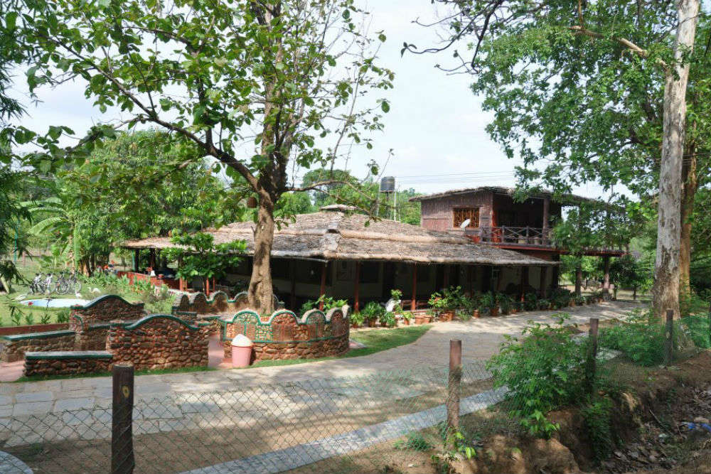 Dandeli Shikra Jungle Resort