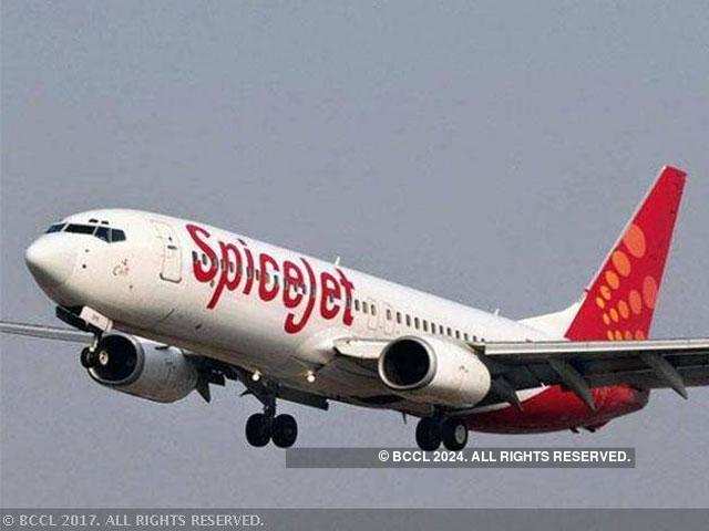 spicejet extra baggage cost domestic