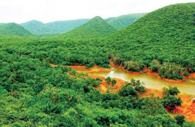Revenue department owns most of the hills—20 big hillocks and around 25-30 small ones—in and around Vizag city.