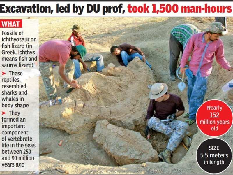 Remains of 150 million-year-old marine reptile found in Kutch | Delhi News - Times of India