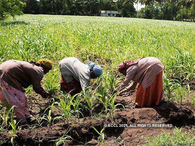 Rejigged scheme sees almost 1 crore more farmers sign up for farm insurance - Times of India