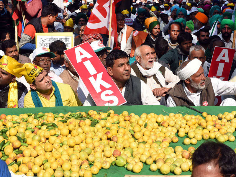 Farmers display fruits and vegetables at the Kisan Mukti Sansad, organized to highlight the farmers' issues, in New Delhi on Nov 20, 2017. (TOI photo by Yogesh Kumar)