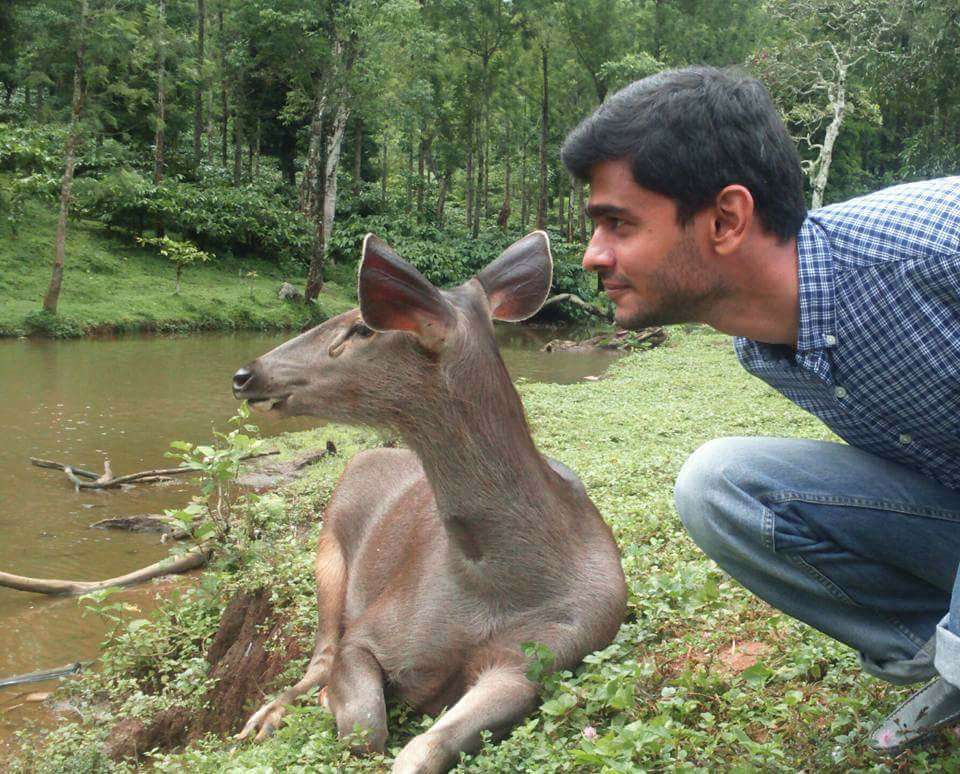 A surprise visitor from the woods | Kochi News - Times of India