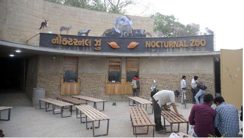 Kankaria zoo opens nocturnal animal house | Ahmedabad News - Times of India Kankaria zoo opens nocturnal animal house | Ahmedabad News - Times of India