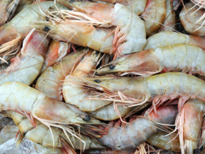 Hyderabad Seminary Bars Muslims From Eating Prawns 