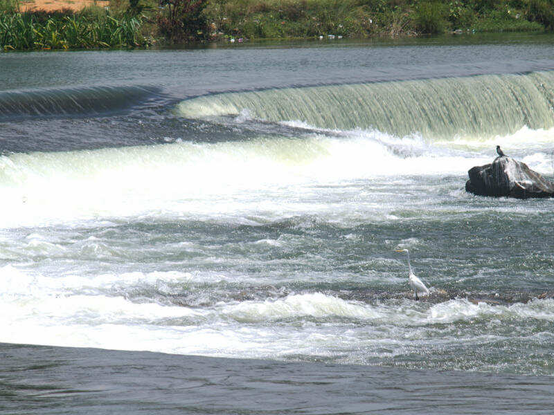 Karnataka rejects Tamil Nadu’s plea for release of Cauvery water - Times of India