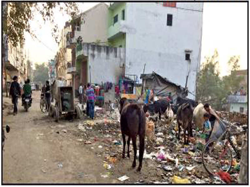 TOXIC SPILLOVER:  Trash lies unattended in Golaganj