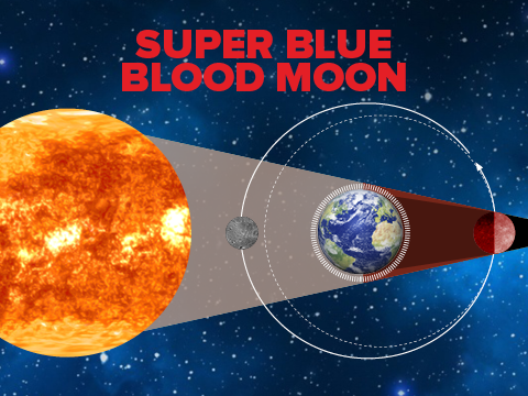 Infographic: Super blue blood moon: What causes this rare lunar eclipse | India News - Times of India