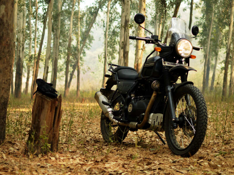 Watch: New Royal Enfield Himalayan BS-IV review | Auto - Times of India  Videos