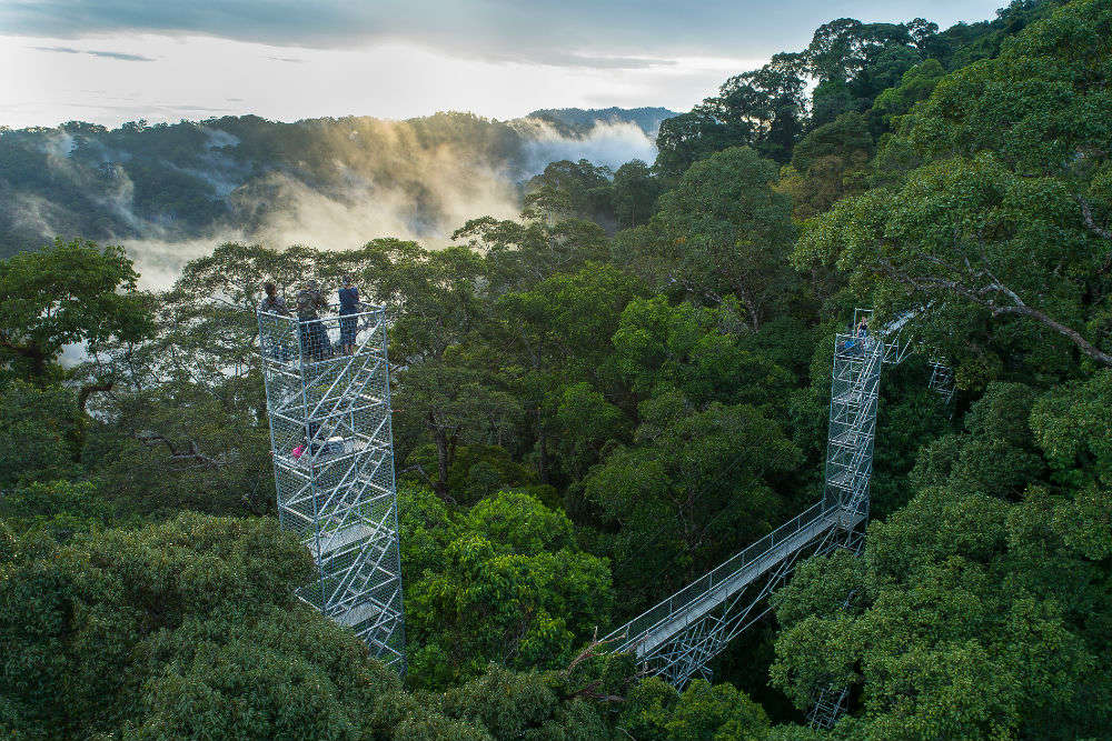 Eco-tourism in Brunei jungle opens new prospects