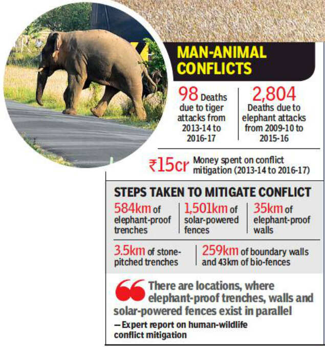Measures undertaken to reduce man-animal conflicts dysfunctional: Report | Kochi News - Times of India Measures undertaken to reduce man-animal conflicts dysfunctional: Report | Kochi News - Times of India