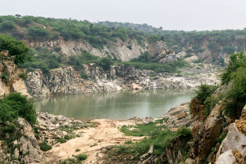 Bhardwaj Lake in Asola Wildlife Sanctuary is a hidden spot in Delhi for weekend break