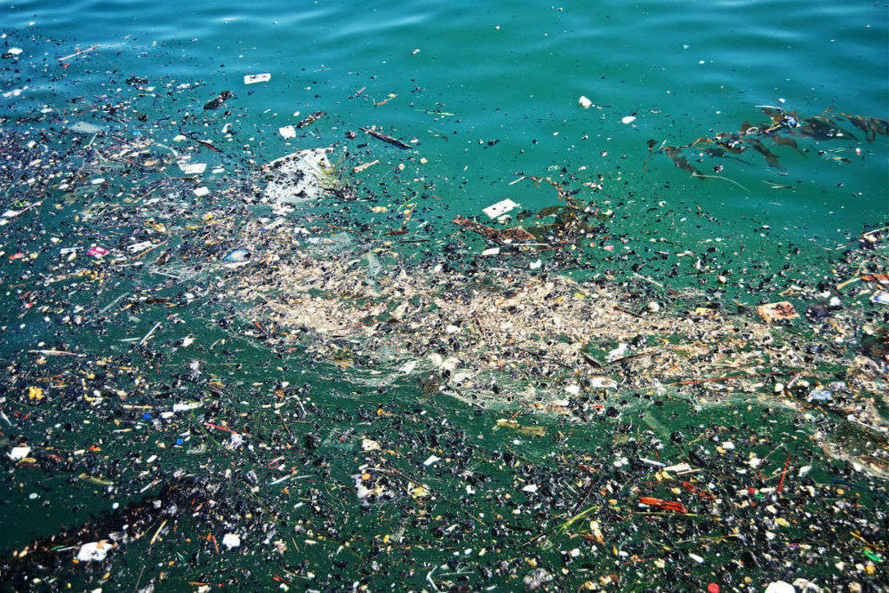 Know why the Great Pacific Garbage Patch has taken the internet by storm!