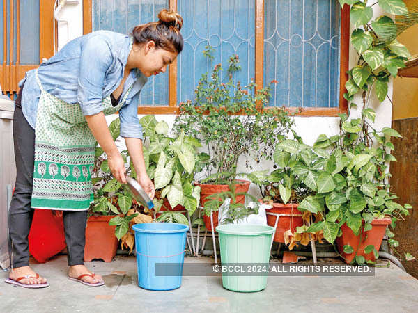 Home Gardening For Beginners In India