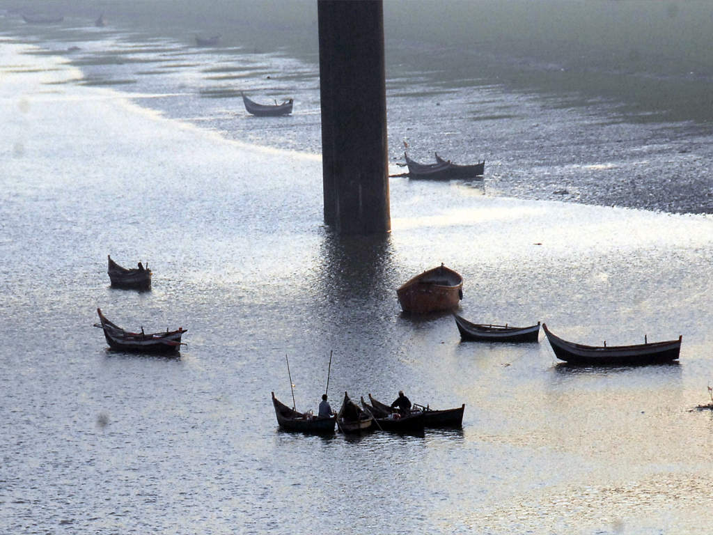 Narmada river
