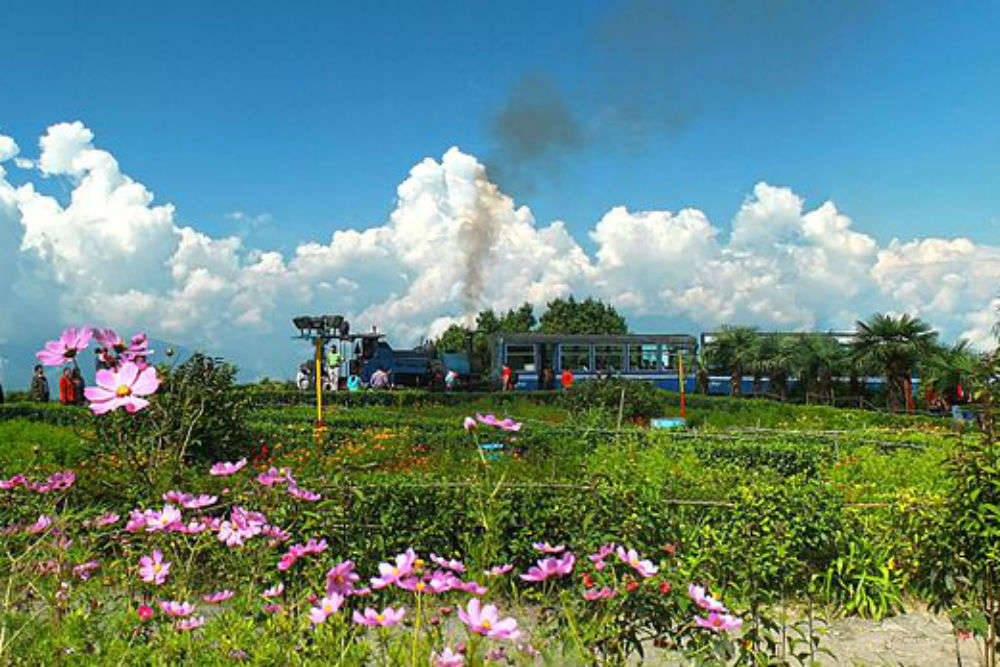 Darjeeling’s toy train to soon have a special tourist route via tea gardens