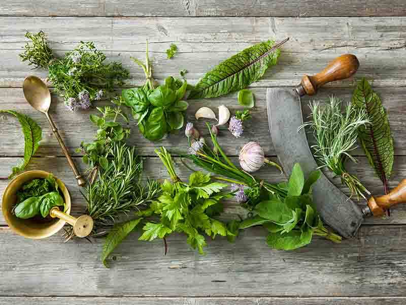8 herbs that can relax your nerves and mind