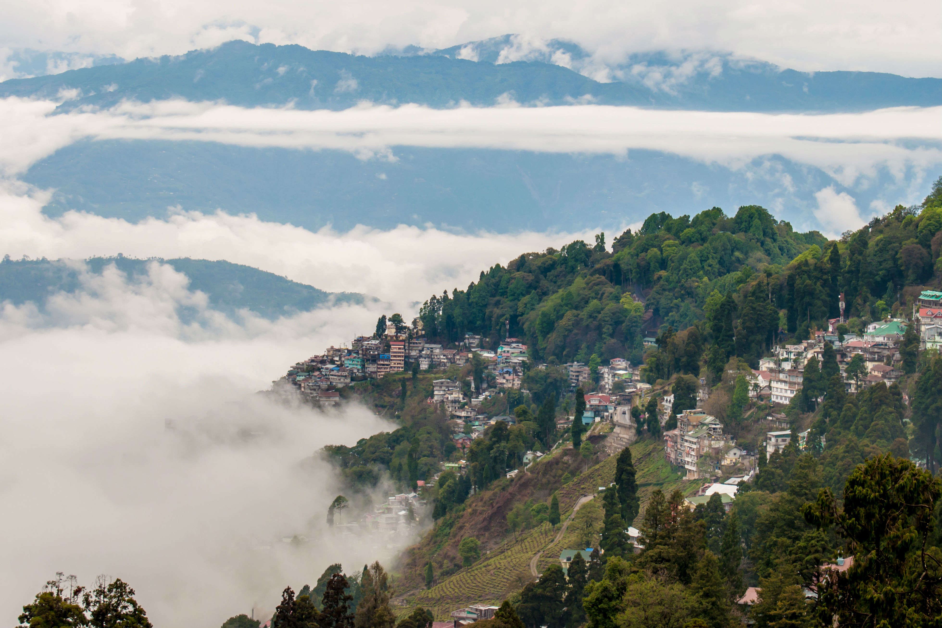 Lifting the fog – going to Darjeeling to see Mount Kanchenjunga