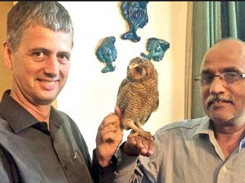 Globally Threatened Species Officer Chris Bowden (left) and deputy director, BNHS, Vibhu Prakash examining the rescued Mottled Wood owl
