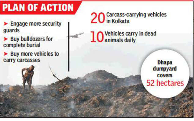 Kolkata Municipal curb on carcass dumping at Dhapa | Kolkata News - Times of India Kolkata Municipal curb on carcass dumping at Dhapa | Kolkata News - Times of India