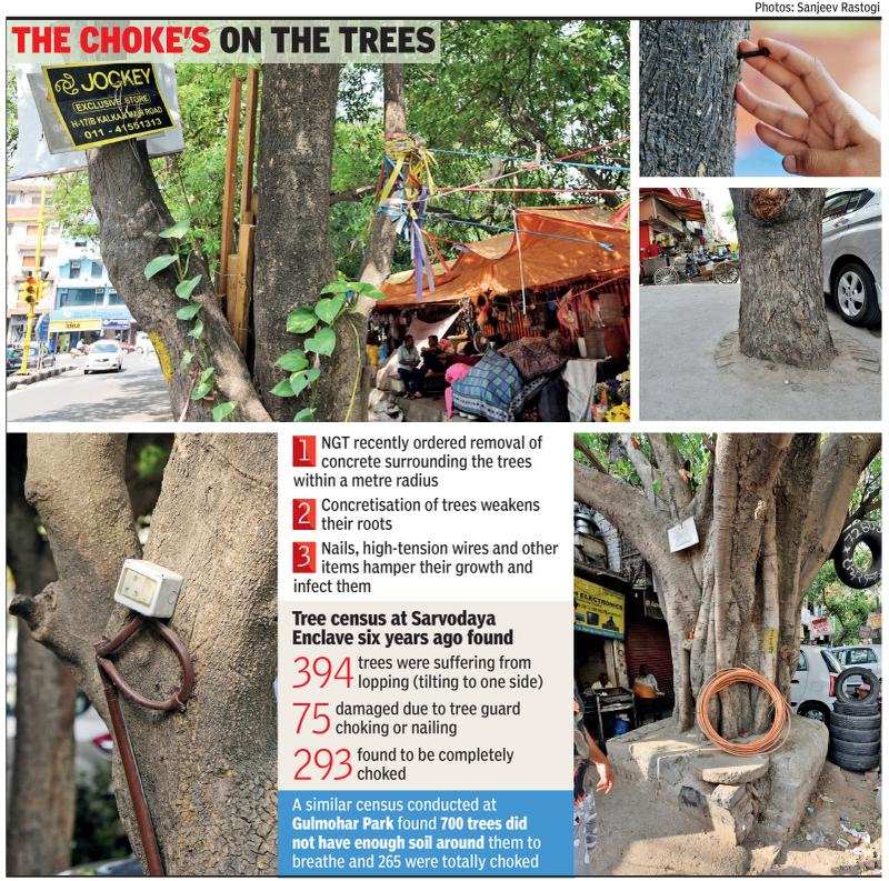 On Sunday, as many as 32 trees were uprooted in the storm in Lutyens’ Delhi alone.