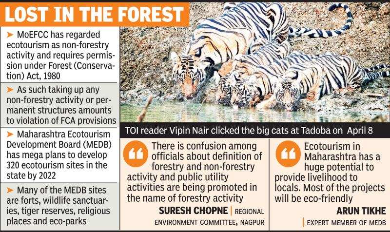 Ecotourism plans: Forest ministry, NTCA sound note of caution | Nagpur News  - Times of India