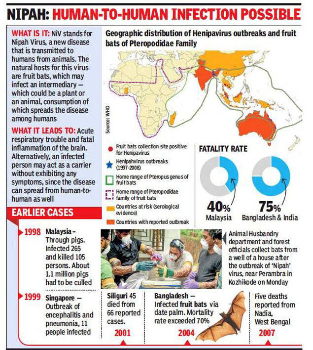 Nipah Virus Kerala Nurse Taking Care Of Nipah Patients Dies Death Toll Rises To 10 India News Times Of India