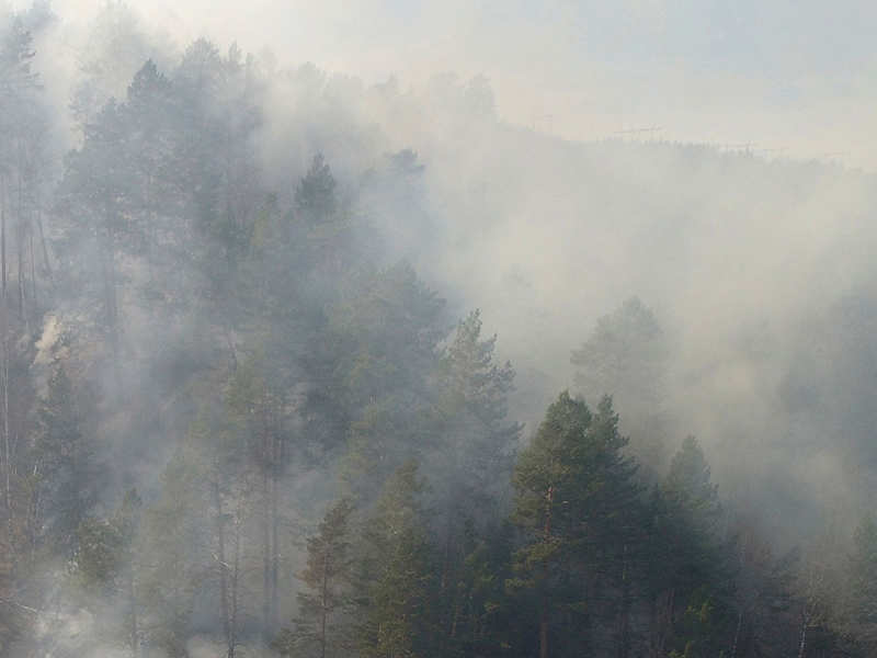 File photo of forest fire used for representational purpose only