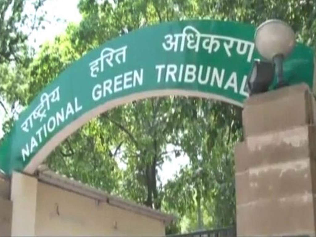 The National Green Tribunal (file photo)