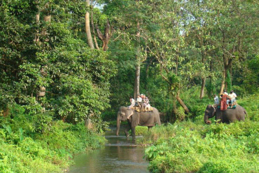 Some forest regions in North Bengal to remain open for tourists this monsoon