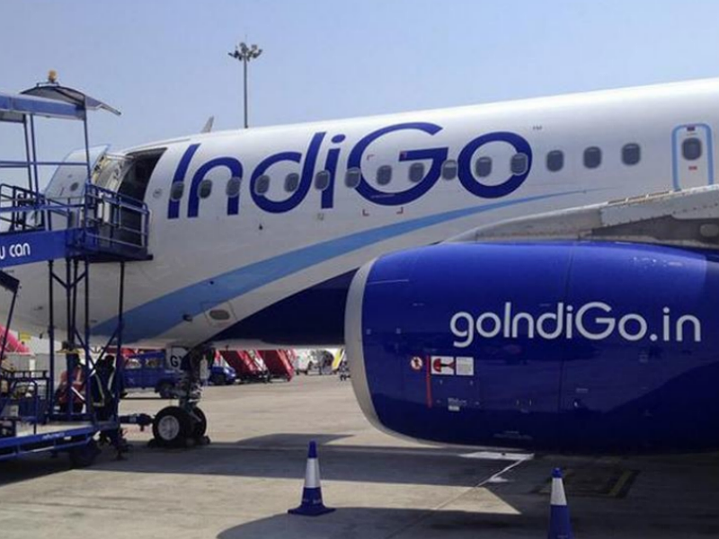 indigo baggage price