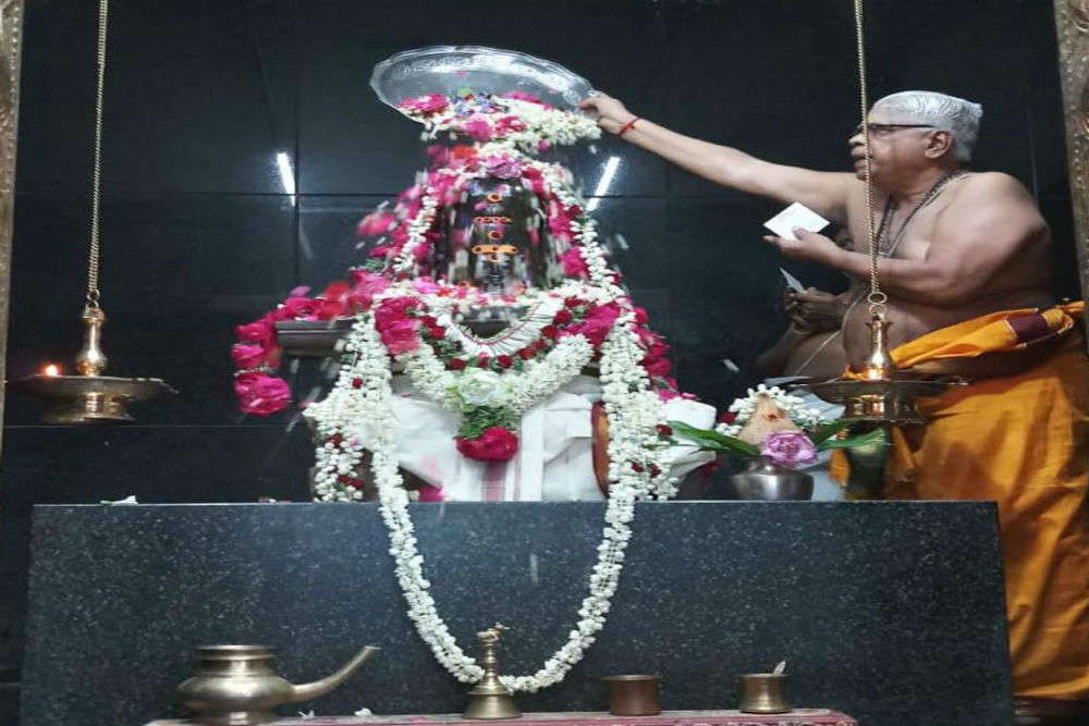 Not laddoos but brownies and burgers as prasada at this Chennai temple