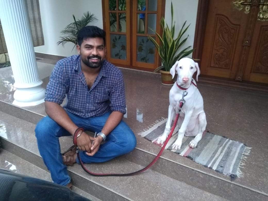 rajapalayam dog in usa