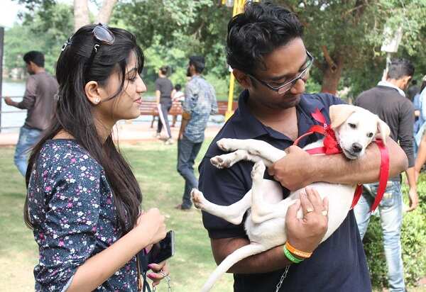 A friendship bash for furry buddies | Events Movie News - Times of India A friendship bash for furry buddies | Events Movie News - Times of India