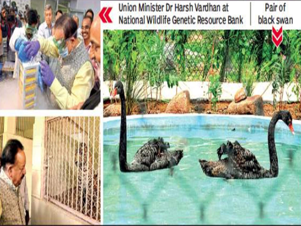 India's first genetic bank for wildlife conservation | Hyderabad News -  Times of India